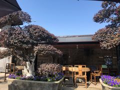-天怡·鱼工厂(临江店)