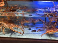 -阿伟海鲜楼·福建菜(延寿店)