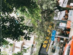 -面爸爸豆瓣抄手(贝森旗舰店)