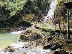 -九龙江国家森林公园