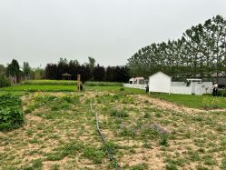 -DORA kids 朵拉儿童摄影花园店