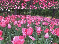 -长春公园(普阳街道)