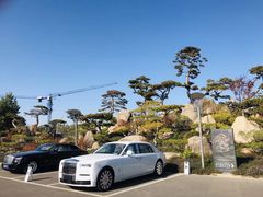 -罗红摄影艺术馆