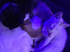 -星宿秘码(鼓浪屿老店)