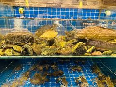 -健眺小海鲜(临海后山店)