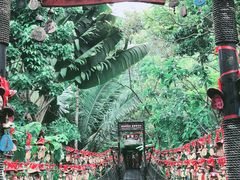 -呀诺达热带雨林