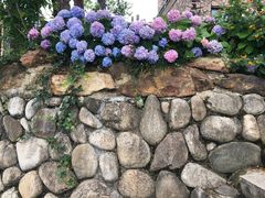 -千岛湖城中湖游船码头