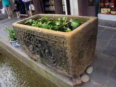 水葫芦-崇州市街子古镇