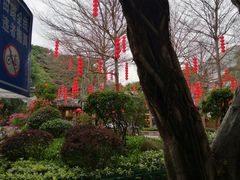 -乌山风景区