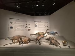 -自贡恐龙博物馆
