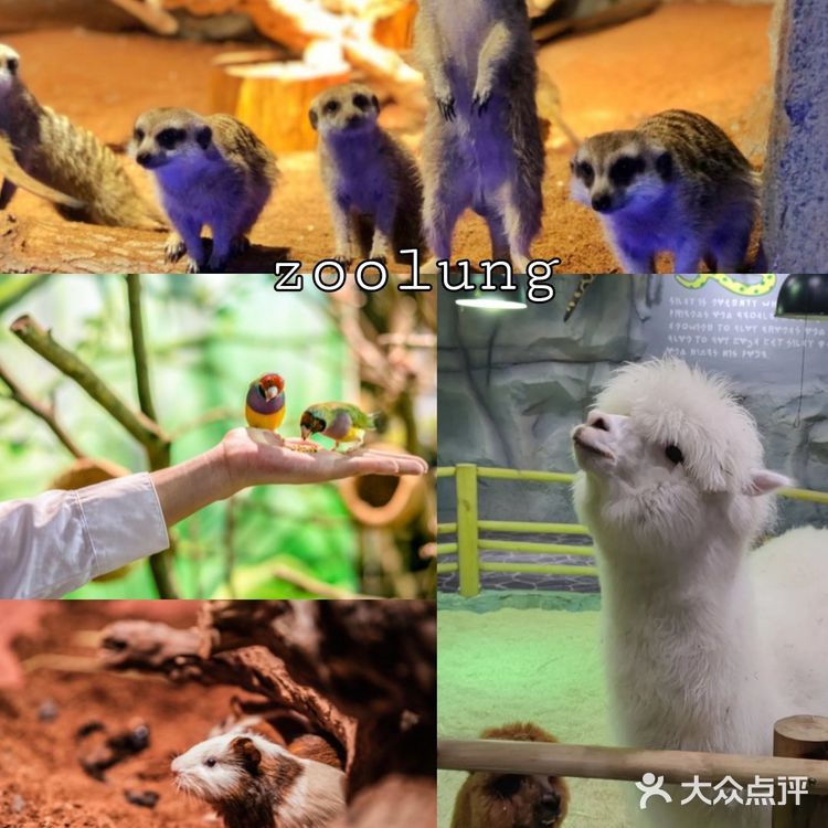 长沙旅游攻略|长沙高温雨天好去处|长沙寄存