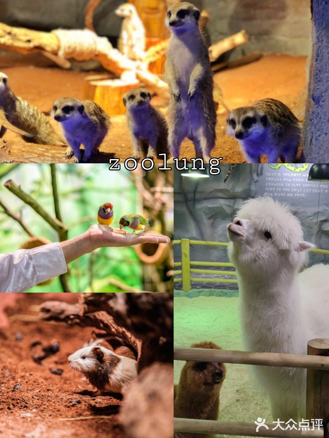 长沙旅游攻略｜长沙高温雨天好去处｜长沙寄存