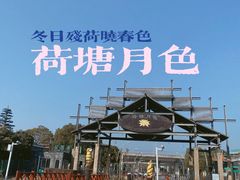 -荷塘月色湿地公园·向阳花洲