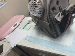 -半岛宠物医院24小时·内窥镜·牙科·碎石中心(府城大道店)