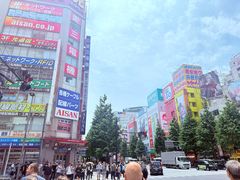 -秋叶原电器街