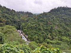 -海南热带雨林国家公园吊罗山景区