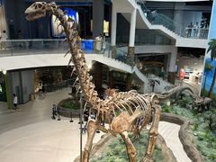 -辽宁古生物博物馆