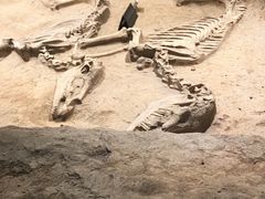 -洛阳周王城天子驾六博物馆