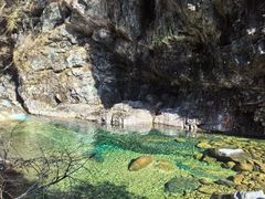 -黄山翡翠谷景区