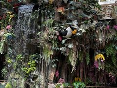 -正佳雨林生态植物园
