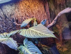 -酷嗒动物文化乐园(cutezoo西溪乐天城店)