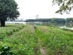 -海珠湖公园