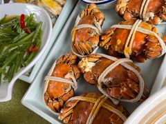 -乡乐园蟹庄·阳澄湖农家乐