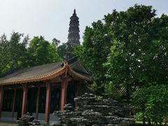 -顺峰山公园