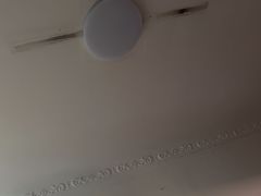 -东方饺子王(新阳路店)
