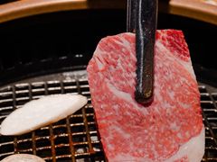 -虎哥六韩式烤肉料理 TIGERGRILL(隆生金山湖中心购物广场店)