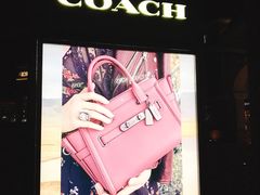 -COACH蔻驰(百联奥特莱斯广场店)