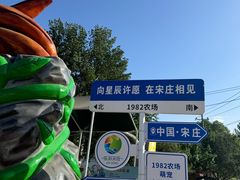 -1982农场