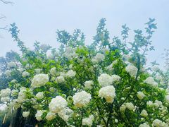 -盘龙城国家考古遗址公园