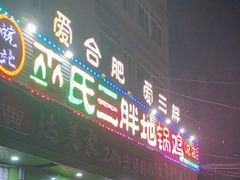 门面-皖北巫氏三胖地锅鸡(长淮总店)