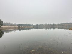 -东郊湿地公园
