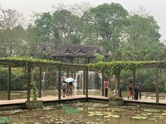 -中国科学院西双版纳热带植物园