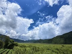-腾冲北海湿地