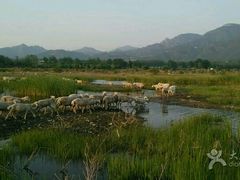 android_upload_pic-十三陵水库