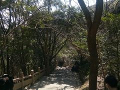 -普陀山风景区-佛顶山