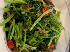 加小炒黄牛肉-刘氏三和面馆