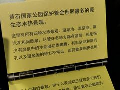-老忠实间歇泉