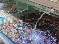 -四海蒸鲜蒸汽海鲜自助(北戴河店)