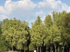 -森林公园(尖草坪区)