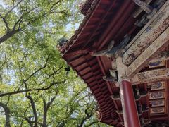 -南岳衡山风景名胜区-南岳大庙