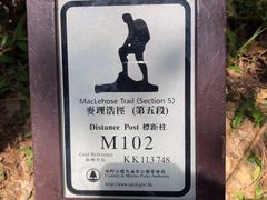 -狮子山郊野公园