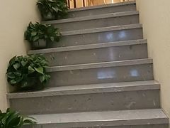 -阮氏中医推拿·颈肩腰腿(世纪公园店)