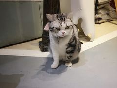 -小时光咖啡馆(开森度假森林店)