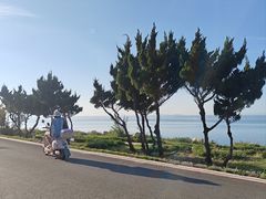 -养马岛旅游度假区
