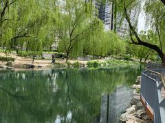 -南长河公园