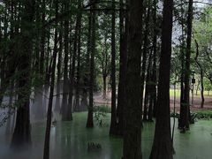 -东湖落雁景区